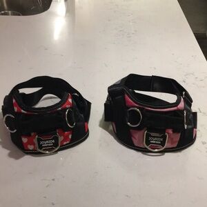Joyride Dog Harness